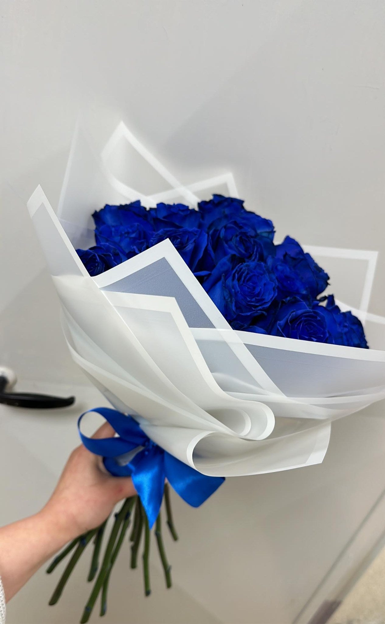 Mistero Blu