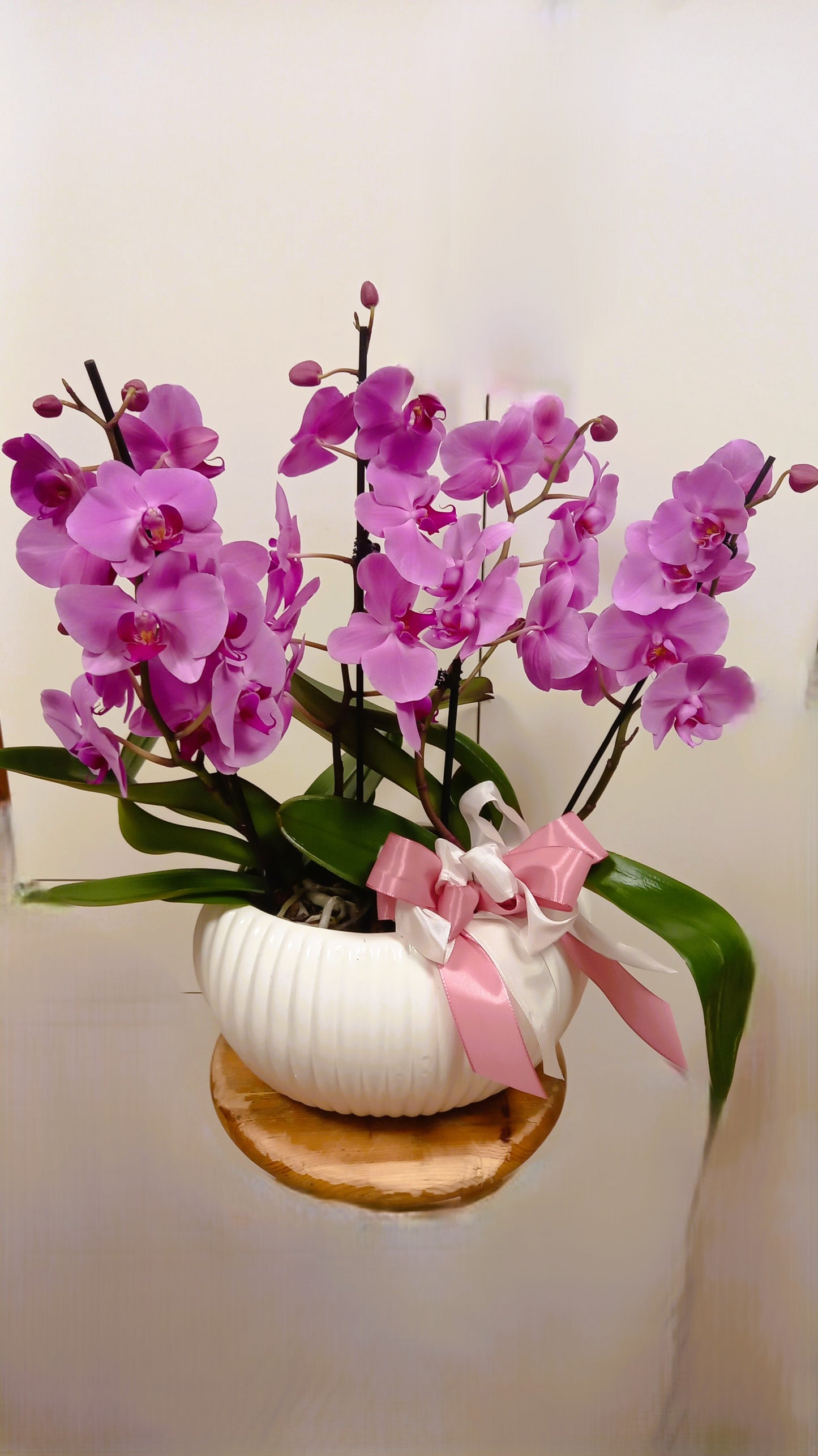 Elegante vaso in ceramica con orchidee fresche, composizione raffinata con minimo 4 rami, colori assortiti.