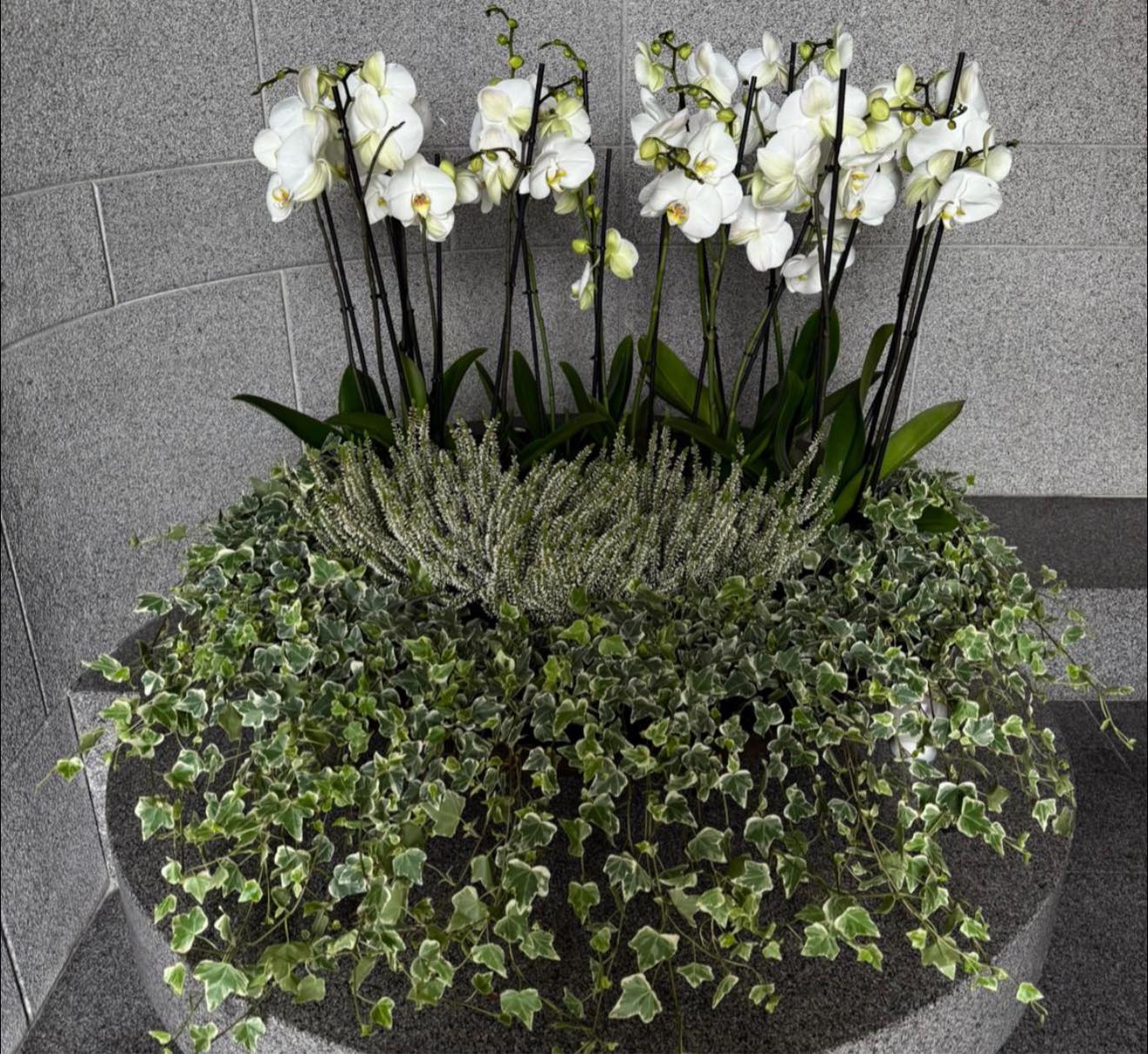 Allestimento floreale per cimitero con piante e fiori di stagione, personalizzabile su richiesta.