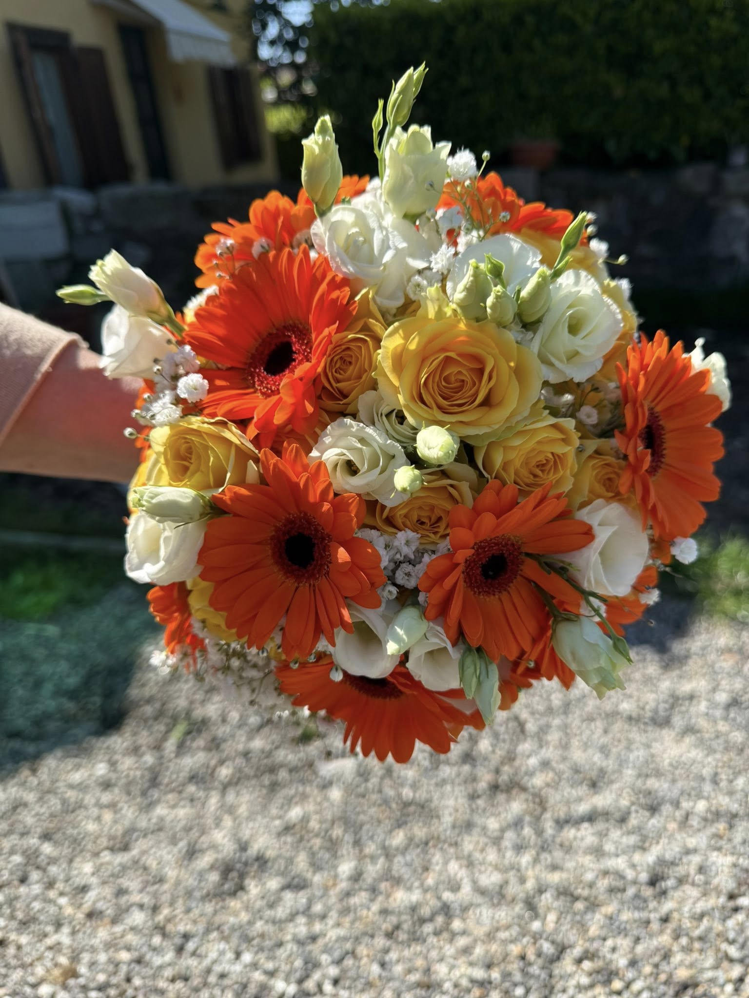 Bouquet compatto con fiori freschi arancio, gialli e bianchi, stile elegante senza incarto con fiocco raffinato.